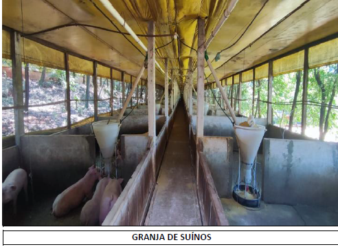Área Rural C/ 15 Hec - Medianeira / Pr, localizado em Medianeira - PR