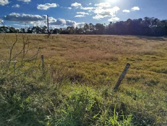 Área Rural C/ 7,99.99 Hec - São Nicolau / Rs, localizado em São Nicolau - RS