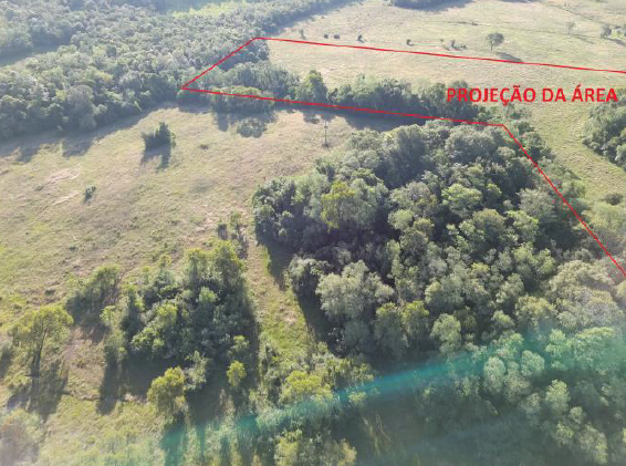 Área Rural C/ 7,99.99 Hec - São Nicolau / Rs, localizado em São Nicolau - RS