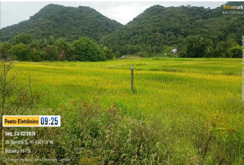 Área Rural C/ 11,2 Hectares - Ascurra / Sc, localizado em Ascurra - SC, bairro Ribeirão São Paulo