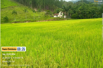Área Rural C/ 11,2 Hectares - Ascurra / Sc, localizado em Ascurra - SC, bairro Ribeirão São Paulo