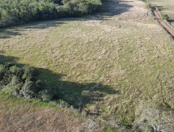 Área Rural C/ 7,99.99 Hec - São Nicolau / Rs, localizado em São Nicolau - RS