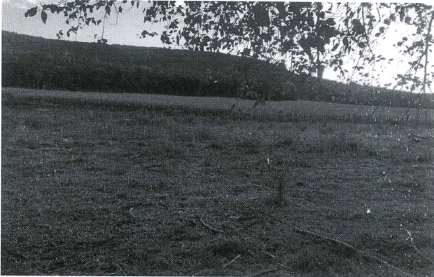 Imagem do imóvel Área Rural C/10 Hec- Porto Vera Cruz / Rs