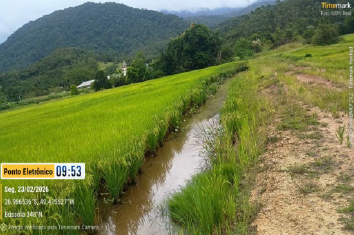 Área Rural C/ 11,2 Hectares - Ascurra / Sc, localizado em Ascurra - SC, bairro Ribeirão São Paulo