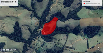 Imagem do imóvel Área Rural C/ 7,26 Hec - Ipuiuna / Mg