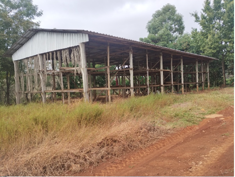 Imagem do imóvel Área Rural C / 5 Hectares - Frei Rogério / Sc