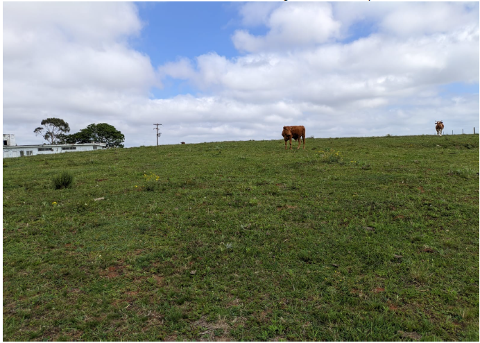 Área Rural C / 3 Hectares - Santa Maria / Rs, localizado em Santa Maria - RS
