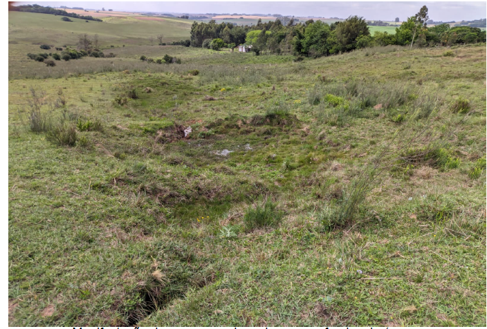 Área Rural C / 3 Hectares - Santa Maria / Rs, localizado em Santa Maria - RS