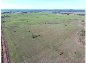 Área Rural C / 22 Hectares - Pirapó / Rs, localizado em Pirapó - RS