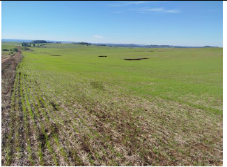 Área Rural C / 22 Hectares - Pirapó / Rs, localizado em Pirapó - RS