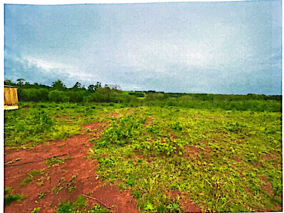Imagem do imóvel Terreno Urbano C/ 260.000,00 M² -  São Luiz Gonzaga - Rs