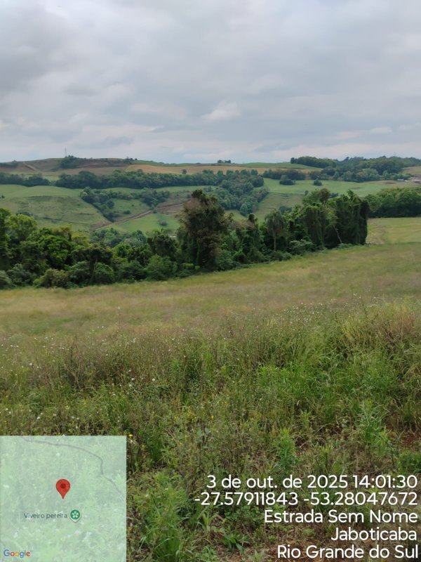 Imagem do imóvel Área Rural C / 7,64 Hec - Jaboticaba / Rs