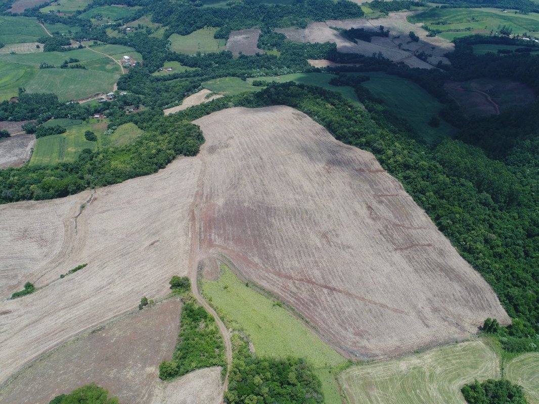 Imagem do imóvel Área Rural C / 10,85 Hec - Tiradentes Do Sul / Rs