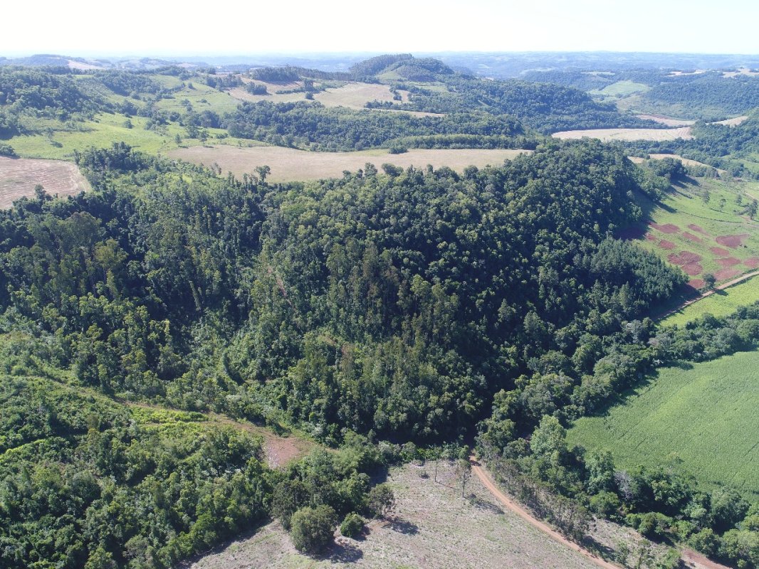 Área Rural C / 6,36 Hec - Três Passos / Rs, localizado em Três Passos - RS