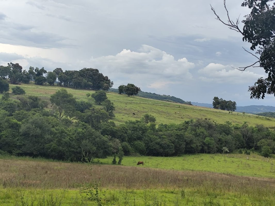 Área Rural C / 2 Hec + Área Rural C / 3,5 Hec - São Pedro Do Sul / Rs, localizado em São Pedro Do Sul - RS