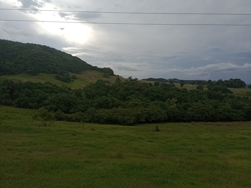 Área Rural C / 2 Hec + Área Rural C / 3,5 Hec - São Pedro Do Sul / Rs, localizado em São Pedro Do Sul - RS