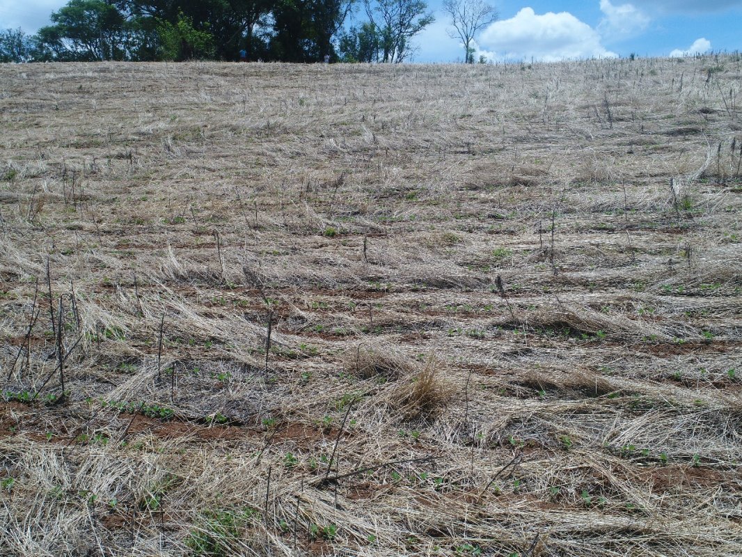 Área Rural C / 6,6 Hec - Tiradentes Do Sul / Rs, localizado em Três Passos - RS