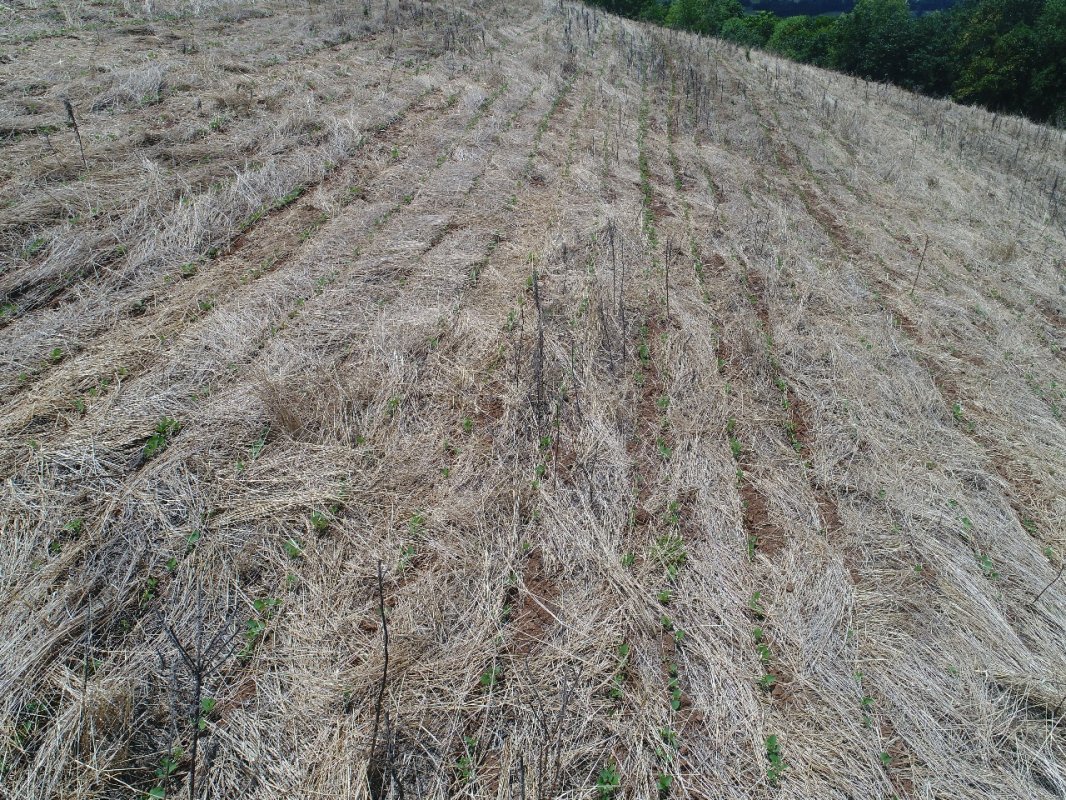 Área Rural C / 7,3 Hectares, localizado em Três Passos - RS