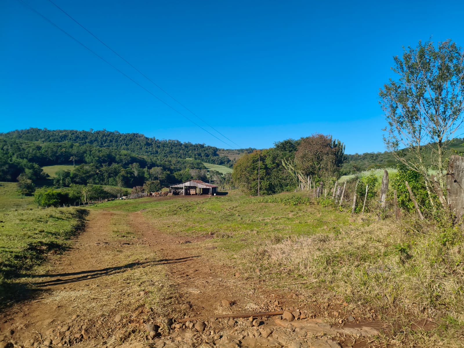 Área Rural C/ 75.000 M² - Porto Lucena / Rs, localizado em Porto Lucena - RS
