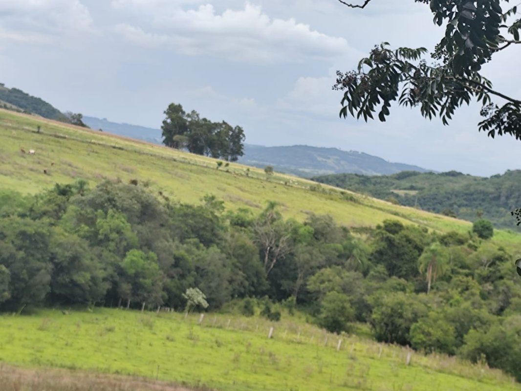 Área Rural C / 2 Hec + Área Rural C / 3,5 Hec - São Pedro Do Sul / Rs, localizado em São Pedro Do Sul - RS