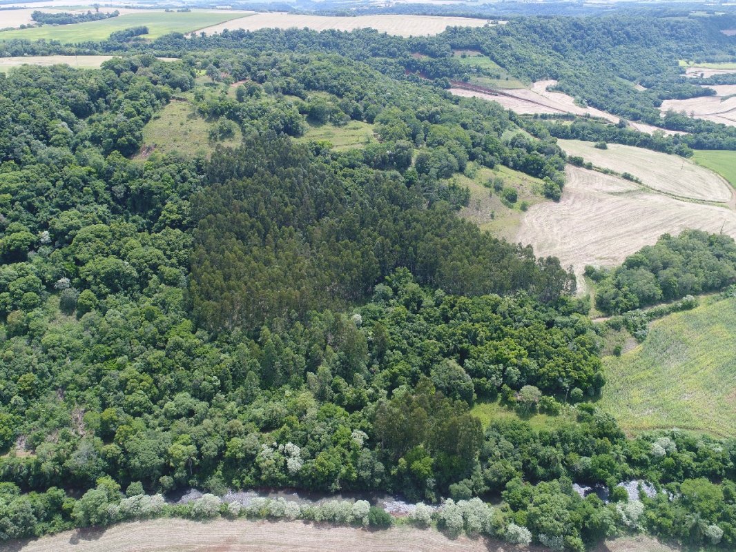 Área Rural C / 5,8 Hec - Braga / Rs, localizado em Braga - RS