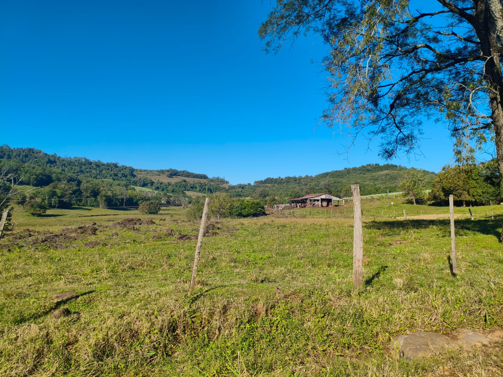Imagem do imóvel Área Rural C/ 75.000 M² - Porto Lucena / Rs