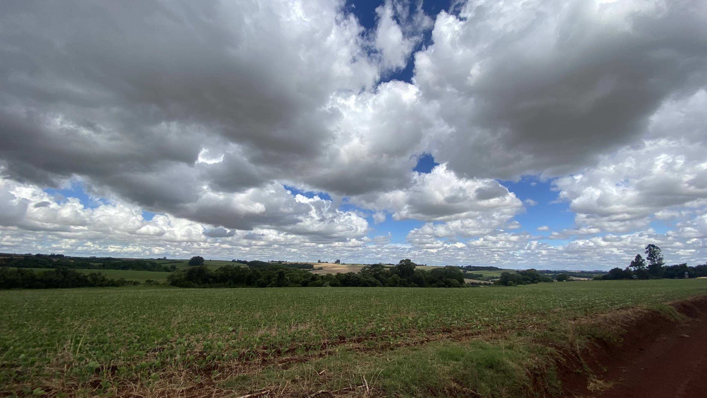 Imagem do imóvel Área Rural C/ 3 Ha - Catuípe / Rs