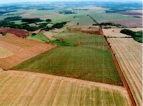 Imagem do imóvel Área Rural C/ 25 Ha - Entre-ijuís / Rs