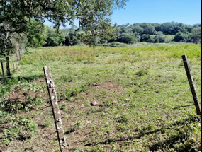 Imagem do imóvel Área Rural C/ 2 Ha - Roque Gonzales / Rs