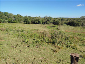 Área Rural C/ 2 Ha - Roque Gonzales / Rs, localizado em Roque Gonzales - RS