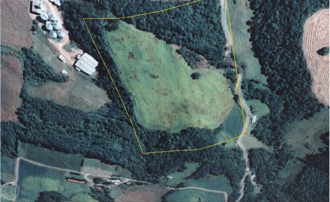 Imagem do imóvel Área Rural C / 12,71 Hec - Serafina Corrêa / Rs