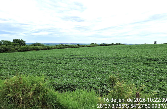 Imagem do imóvel Área Rural C/ 13,70 Ha - São Miguel Das Missões / Rs