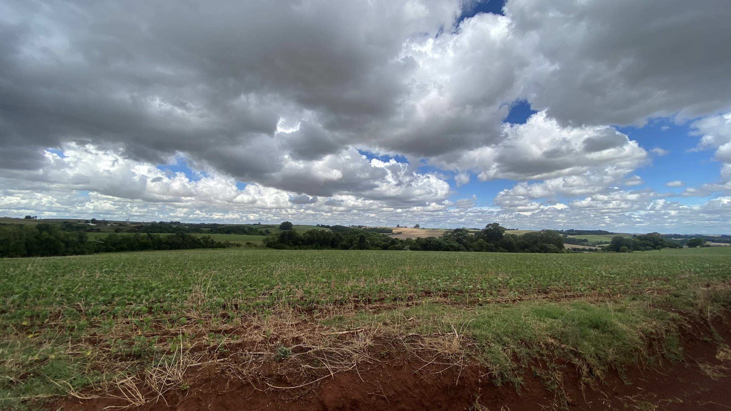 Área Rural C/ 3 Ha - Catuípe / Rs, localizado em Catuípe - RS