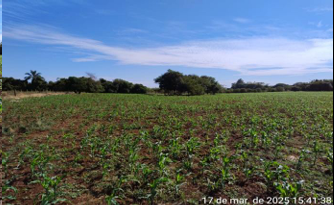 Imagem do imóvel Área Rural C/ 3 Ha - Garruchos / Rs
