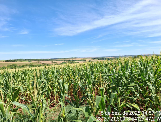 Imagem do imóvel Área Rural 1,75 Ha - São Miguel Das Missões / Rs