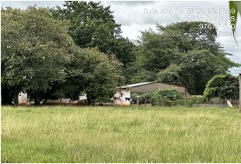 Imagem do imóvel Área Rural C/ 2 Ha - São Borja / Rs