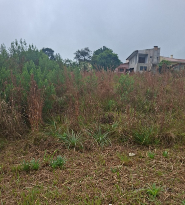 Imagem do imóvel Terreno Urbano C/ 455 M² - Cruz Alta / Rs