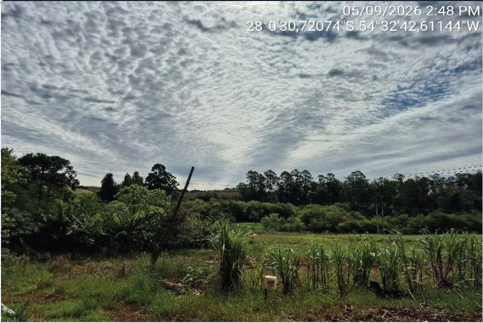 Imagem do imóvel Área Rural C / 5 Ha - Senador Salgado Filho / Rs