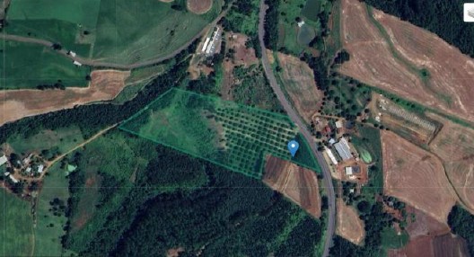 Imagem do imóvel Área Rural C/ 5,52 Ha - Palmitos / Sc